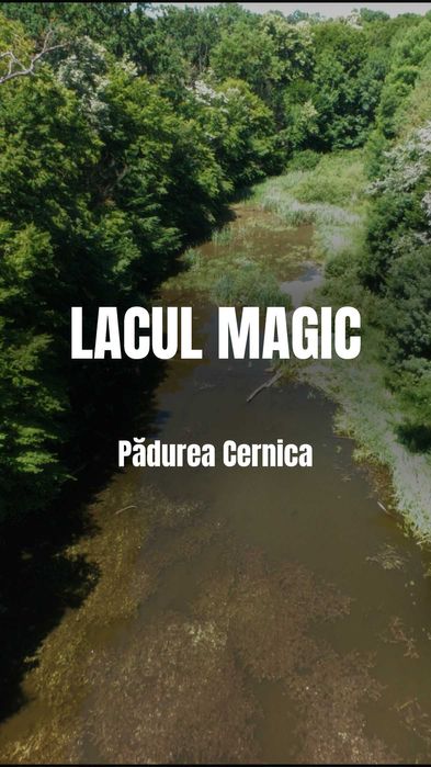 Filmare Drona Profesionala - Avata 2 - 4k 60 Fps