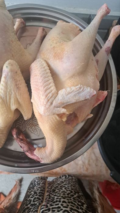 Курка сотилади.