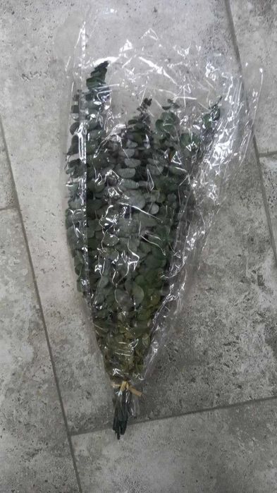 Стабилизированные растения - Декор премиум класса