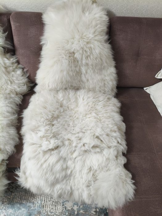 Чехлы автомобильные