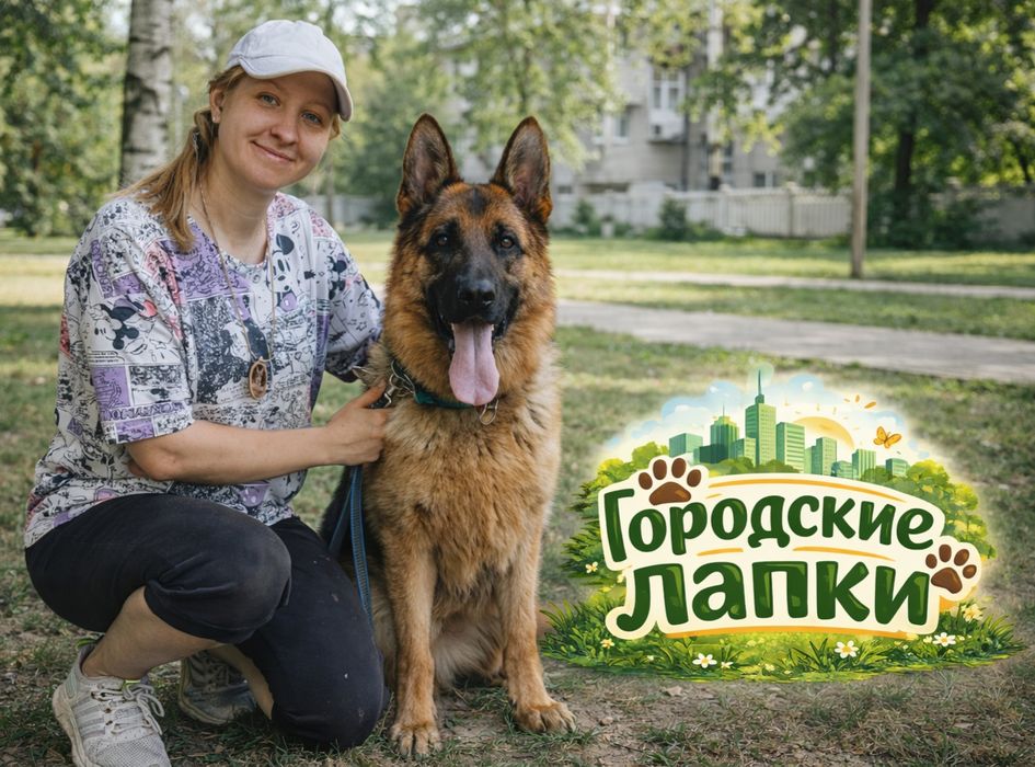 Выгул собак и зооняня