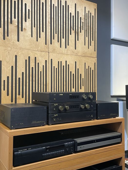 Preamplificator AVM  Evolution V3 , sursa alimentare cu acumulatori AVM Evolution PSI , monoblocuri putere Evolution M1 si dac Canton Digital 1