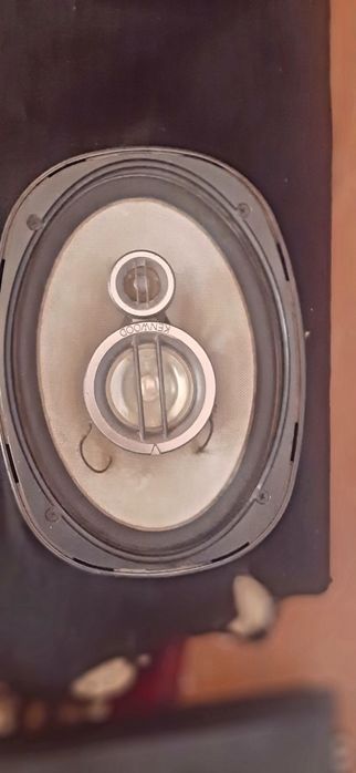 Kalonka sotiladi arginal