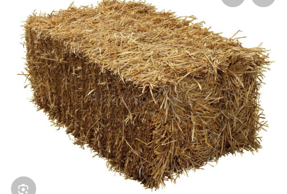 Vand baloti de borceag( ovaz+mazariche+fan)