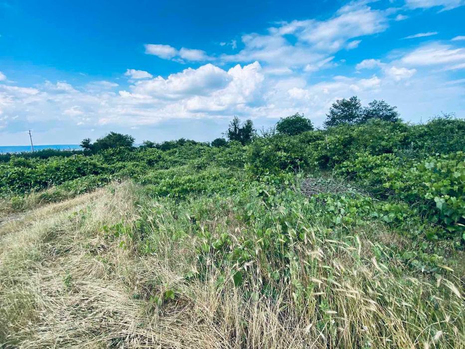 Продава се Земеделски имот в Варна, Възраждане 1 -  кв.м за 30 €/дка - Снимка #10