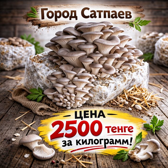 Мицелии вешанка