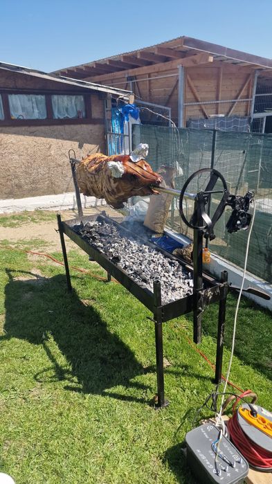 Rotisor proțap electric