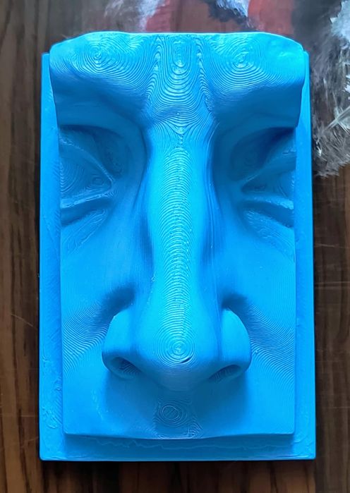 Нос, ухо, око и уста на Давид от Микеланджело