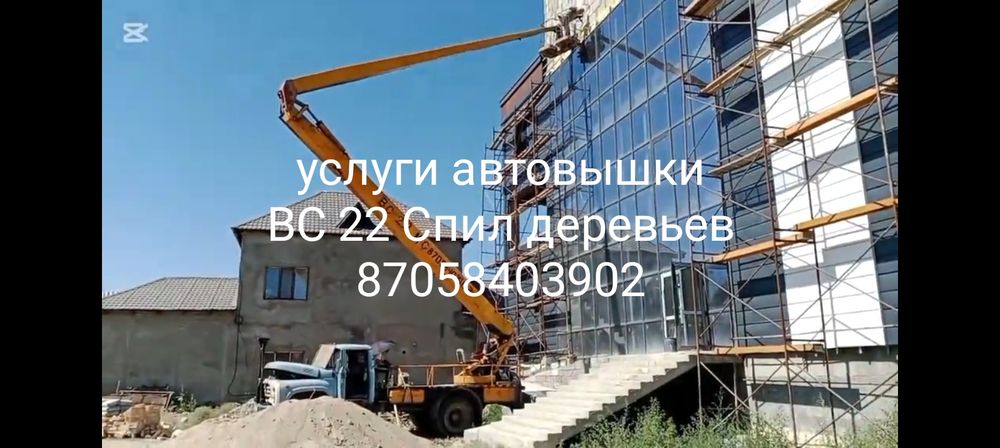 Пилим аварийные деревья!