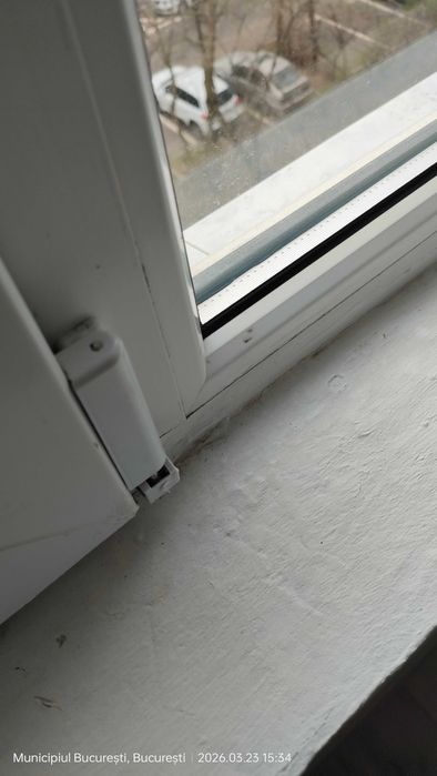 Termopane (rama + pachetele de sticla) x2