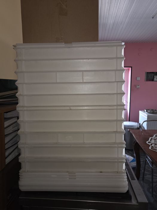 11 tavi paline +9 capace tavi