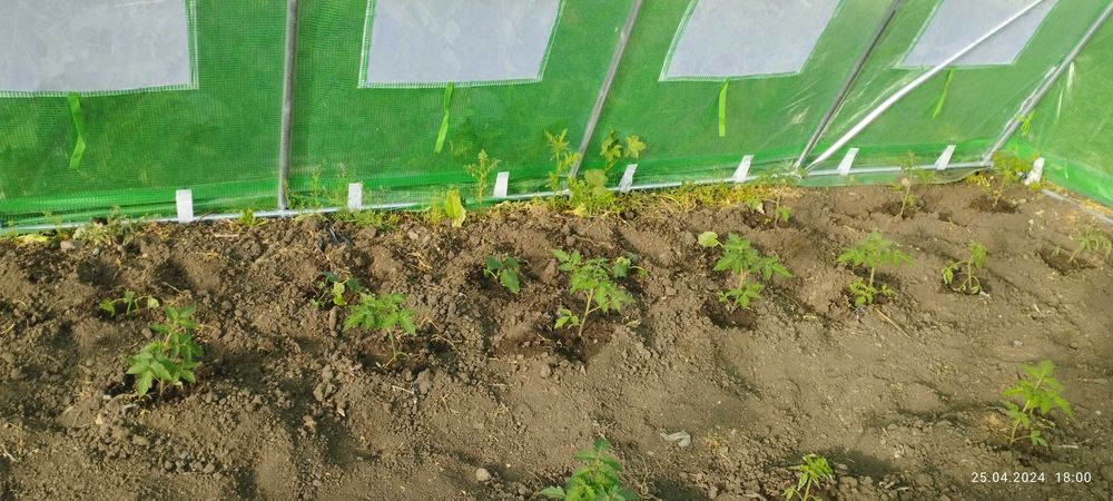 продавам 3 оранжерии 80кв.м.