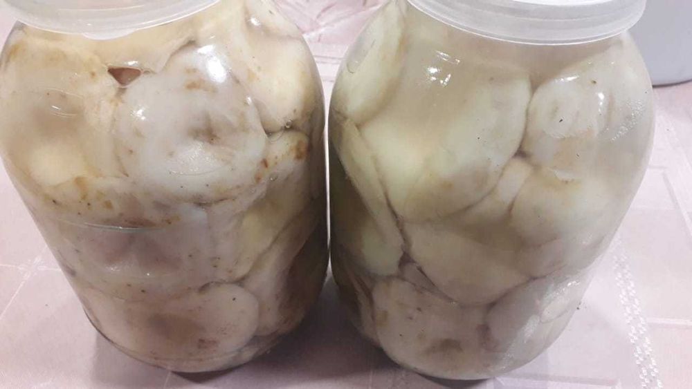 Грибы Грузди 2 л 8000тг