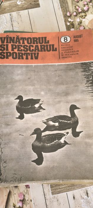 Reviste de colectie anii '85-'90