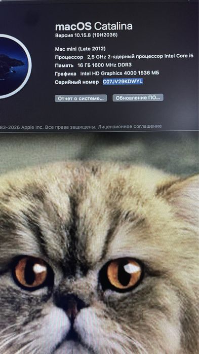 Mac mini (конец 2012 года) Core i5