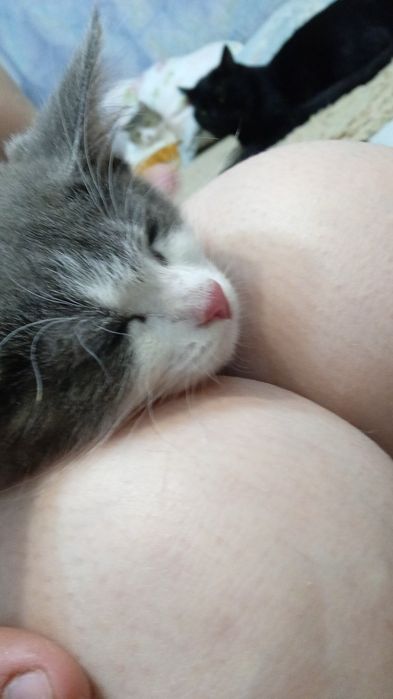 Одам котонка девочка