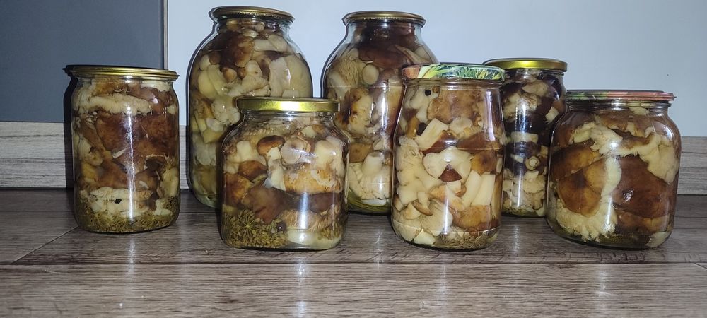 Грибы шахтерики в наличии.