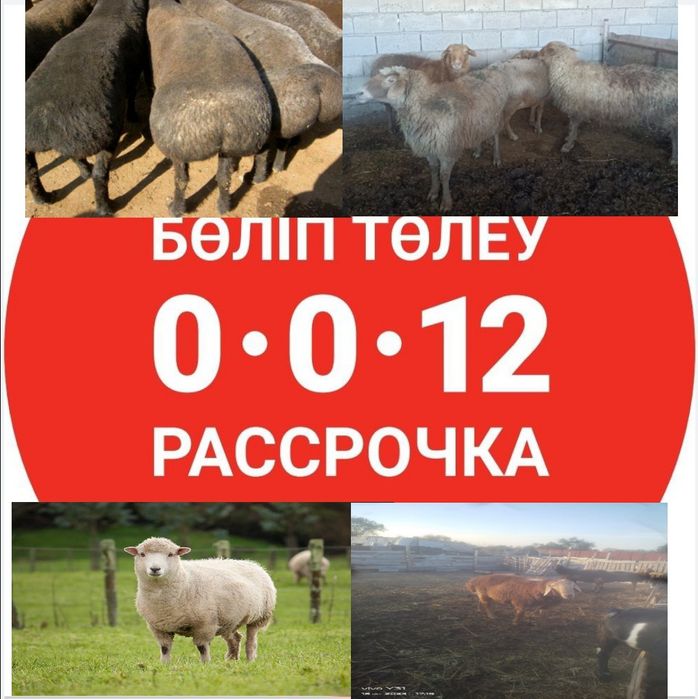 Секс және қала барлық эпизодтары