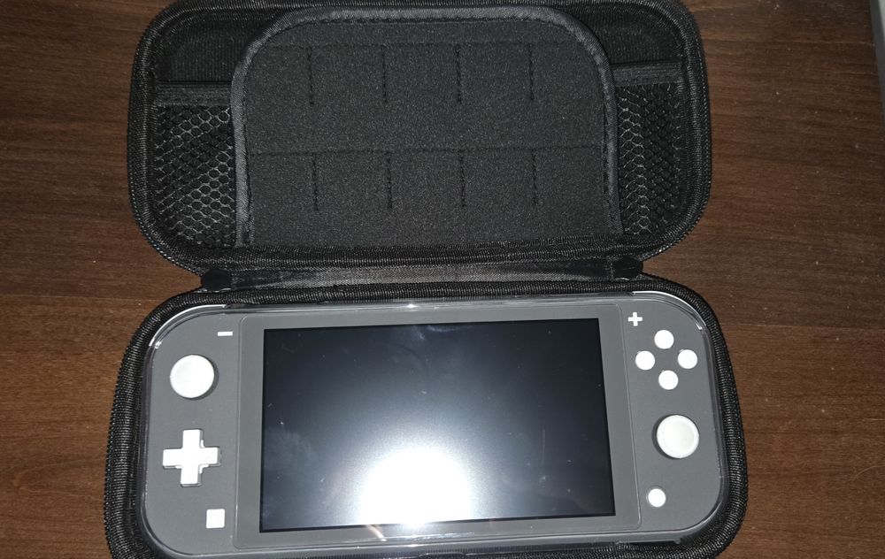 Nintendo switch lite picofly
