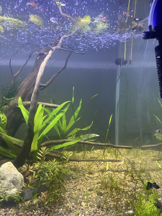 Продам аквариум 160литр