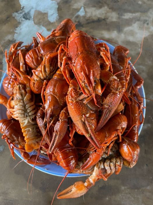 свежие, живые, чистые, промытые без посторонних привкусов тины