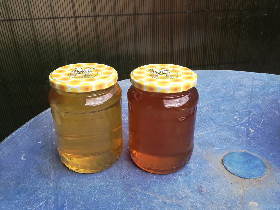 Vând Miere Salcâm și polifloră.