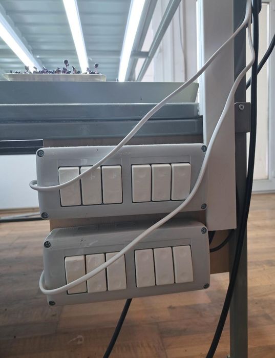 Sistem hidroponic microplante/afacere la cheie