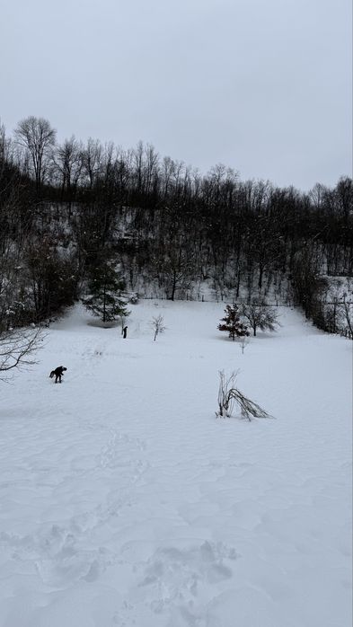 Vand Casa de vacanta