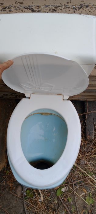 Унитаз туалет бесплатно