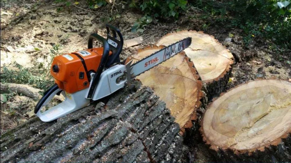 Косене на всякакъв вид треви и терени, рязане дървета и поваляне