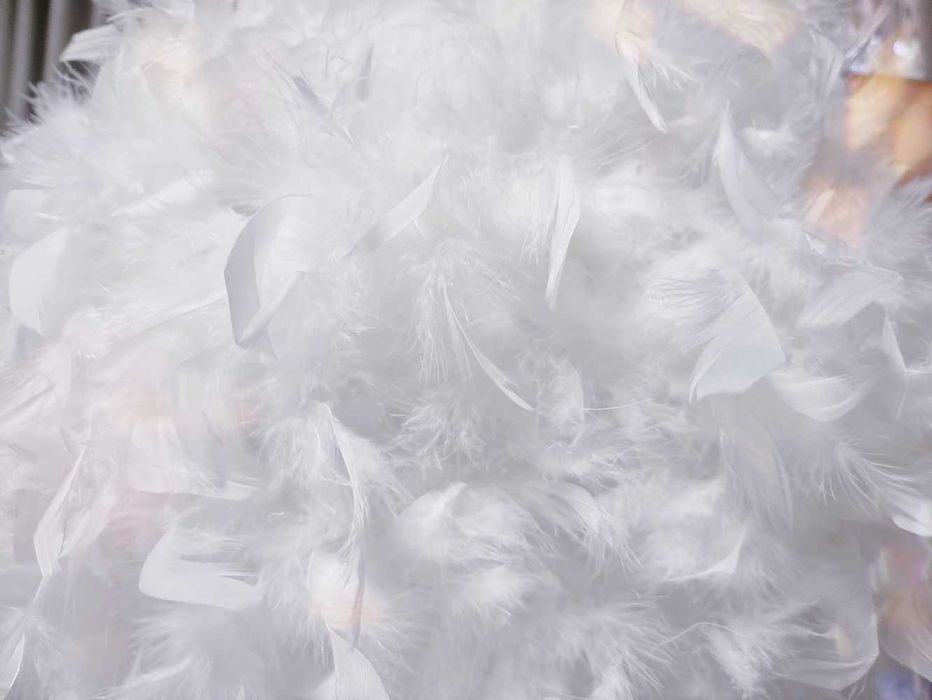 Сладурски Полилей ! От Гъши Пух !