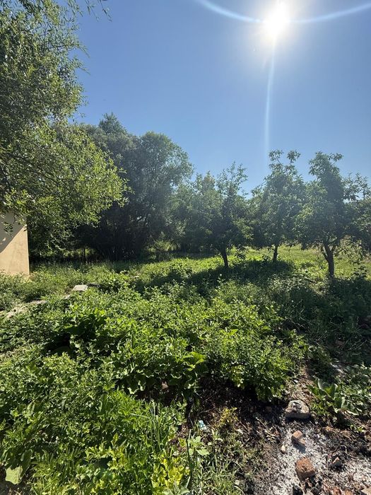 Продава се Къща в Свиленград - 88 кв.м за 870 €/кв.м - Снимка #11