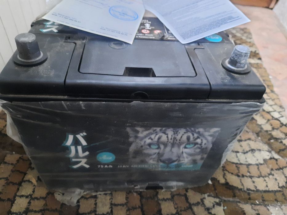 аккумулятор Барс 75