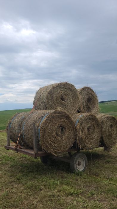 Vând baloți rotunzi de lucernă și fân