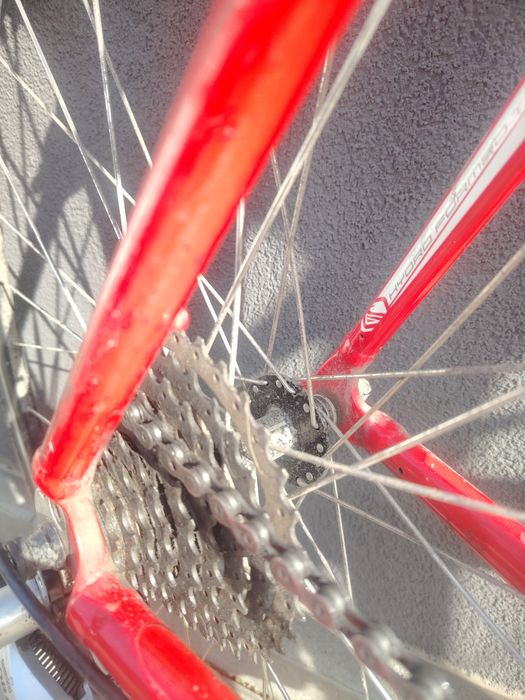 Cursiera Scott in stare excelenta