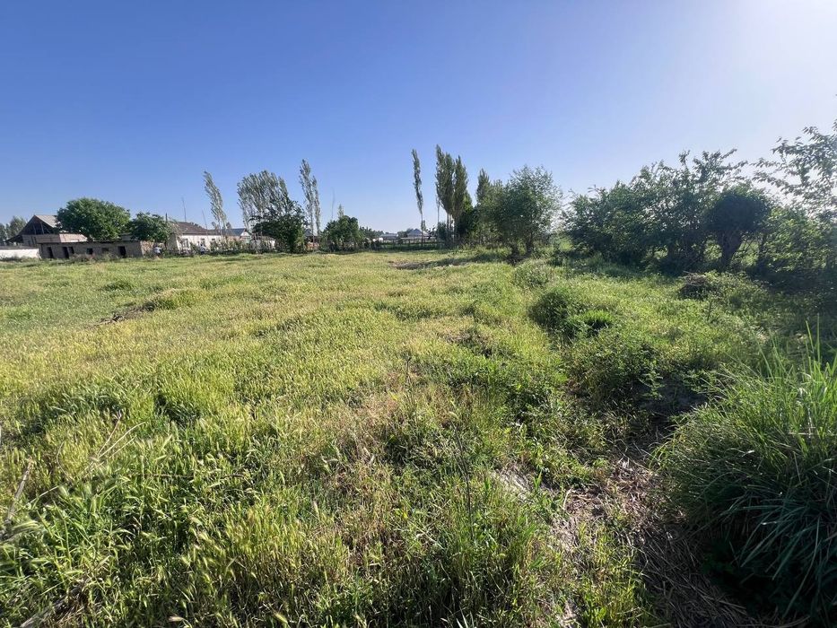 Участка 30 сотих. Кадастри бор