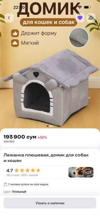 Срочно продаются две чистокровные кошки Скоттиш Фолд и Скоттиш Страйт