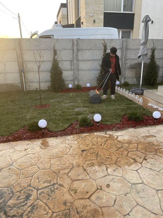 Gazon rulou și plante ornamentale