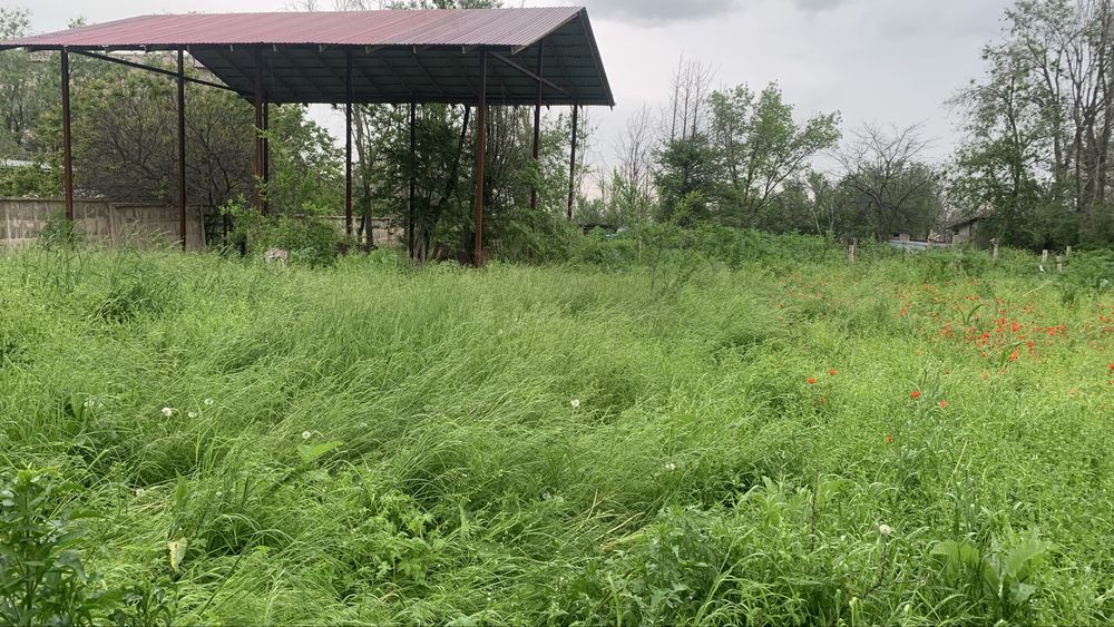 Дом или дача продам срочно