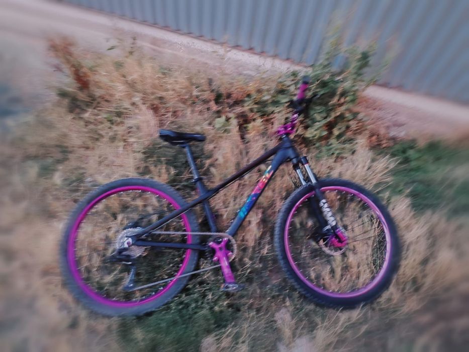 Велосипед Erec L 100