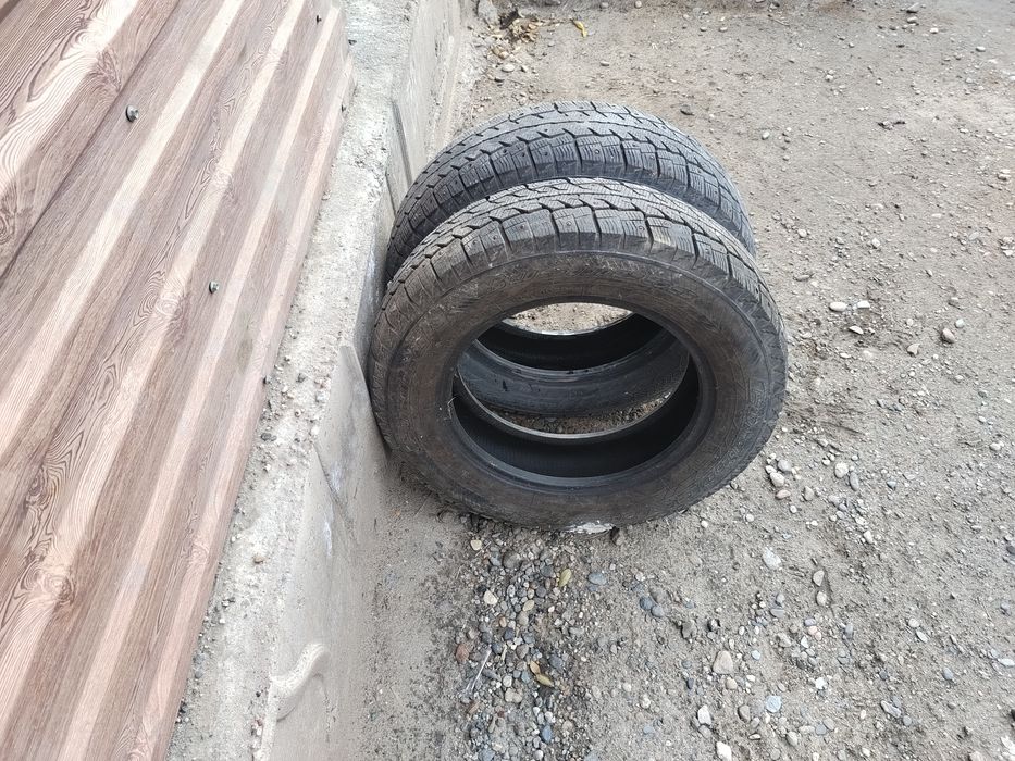 Покрышка пакрышка