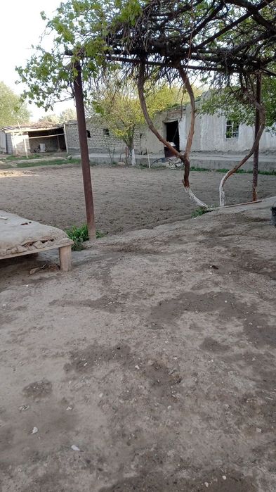 Navoiy beshrabot uy sotiladi tez va arzon