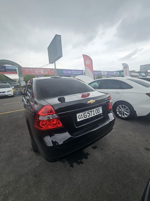 Сдам в аренду Чёрную Пантеру  2022