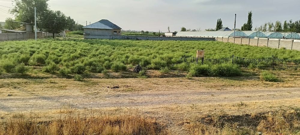 30 сотык участка сатылады