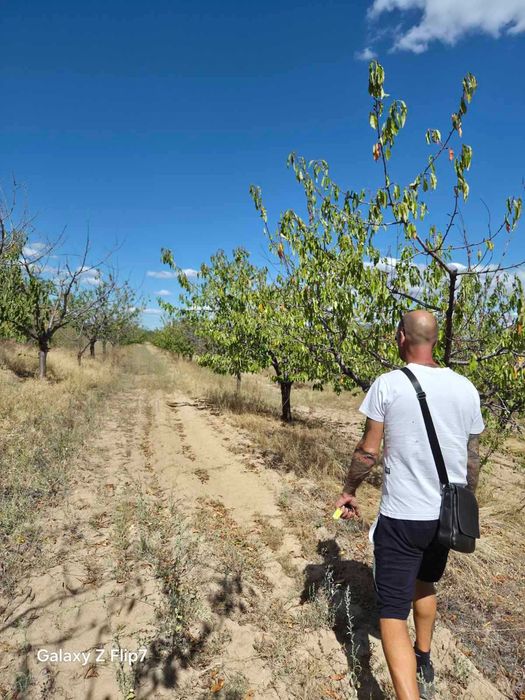 Продава се Земеделски имот в с. Виноградец, Област Пазарджик -  кв.м за 1913 €/дка - Снимка #1