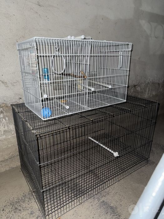 Valer + qafas ortasidan ajraladigon