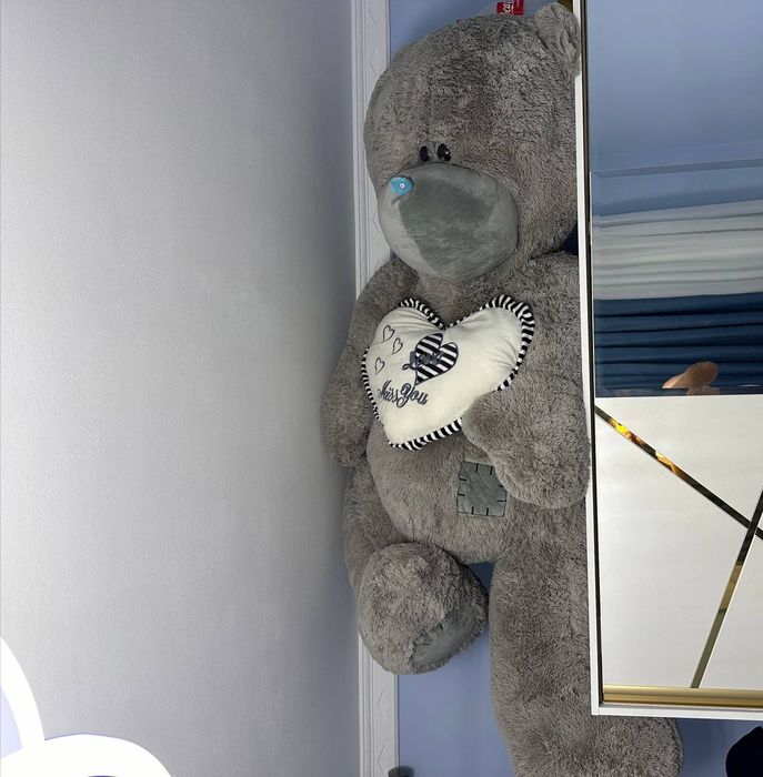 Мишкп тедик в корошом