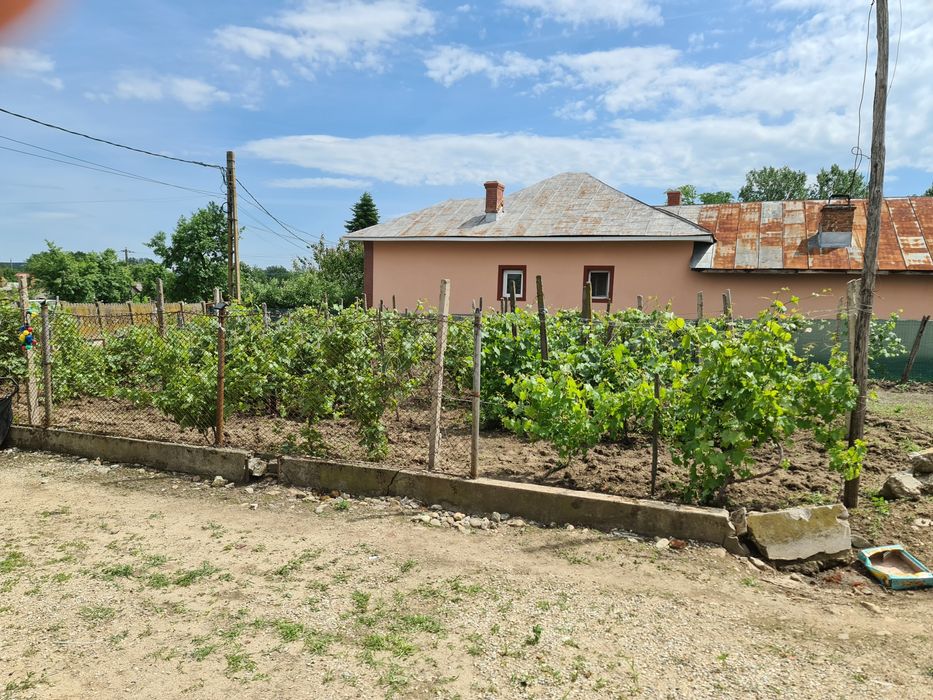 Vând casă la țară