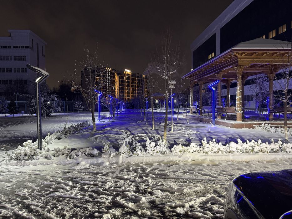 Уличные фонари столбы. Светильник LED