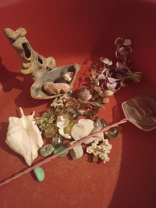 Шар для хомяка, предметы для аквариума.